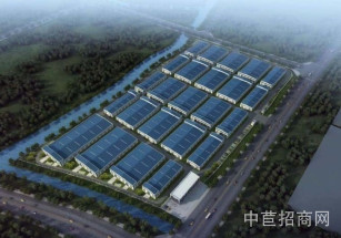 奧克斯智能制造產業園單層鋼結構?層高可定制?50年產權?配套成熟