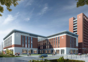 空港新動能產業園南京市雙拼獨棟廠房出售 智能制造醫療器械