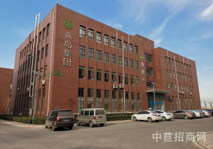 軍鼎科技園石家莊小獨棟廠房出售 政府主導產業園 適合各類生產