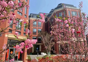 MAX南京江寧科技園南京花園獨棟辦公總部出售