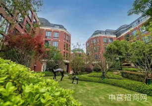 MAX南京江寧科技園南京獨棟廠房出售 研發辦公