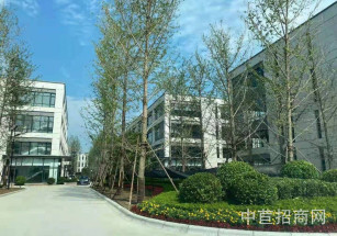 聯東U谷·合肥高新國際企業港獨棟研發辦公廠房，底樓7米可環評貸款