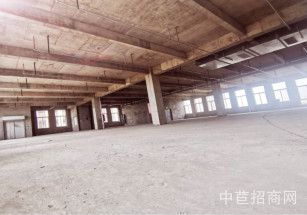 江寧國際企業港Ⅳ期生物醫藥產業園南京生物醫藥廠房出售 小面積分層有產證