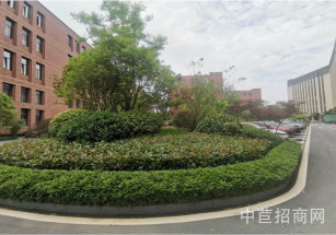 江寧國際企業港Ⅳ期生物醫藥產業園南京整層廠房出售 可組合 分層產權