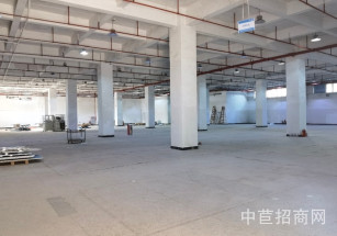 中科中巨?生物醫藥聯合谷黃埔6號線金峰站旁，層高6米廠房出租，原房東，底樓可搭貨架