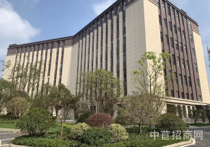 南京湖熟智能制造產業園南京四層獨棟廠房出售 現房