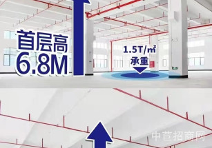 張槎東成立億產業園廣州西新建廠房出售，配套設施齊全，獨立產證，50年產權