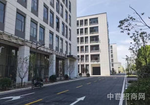 坤鼎·武漢健康智造園層高6米獨棟廠房出售  獨棟廠房出售