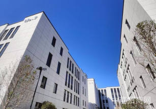 華中數字產業創新基地新能源獨棟廠房出售 獨棟框架廠房出售 一企一棟