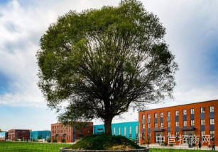 銀川市永寧縣寧夏創業谷