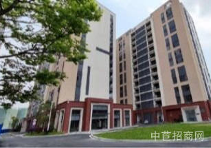 黃金特色小鎮東莞r2地鐵線旁可生產廠房出售，近高速口，50年產權