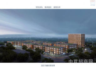 世企匯谷來安智造企業基地雙層廠房，50年產權，包環評可按揭 可架行車