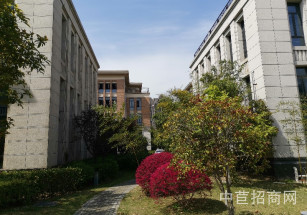 洞涇516#廠房洞涇研發辦公樓出售使用面積5000平單價8800