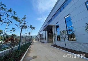 藍(lán)田三元科技創(chuàng)新園出租藍(lán)田單層12米鋼結(jié)構(gòu)現(xiàn)房、可環(huán)評園區(qū)配套完善高速旁