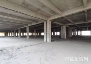 出租利君路大龐路廠房鄠邑區灃京工業園，獨棟廠房可分租，可環評生產免租期長