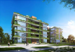 碧桂園潼湖科技城龍崗北獨棟廠房出售，單層面積800平，大柱距