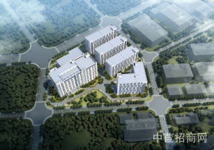 碧桂園潼湖科技城惠州西高標準廠房出售，底樓可架行車，丙類消防，配套公寓餐廳