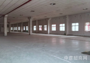 新橋純單層廠房*