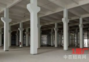 德爾科技產業園蕪湖鳩江經開區，園區廠房招商，面積可分割可環評