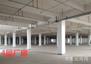 德爾科技產業園蕪湖鳩江經開區，園區獨棟廠房招商， 分層出租可環評