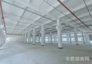 鼎晟盛威科技園清溪鎮(zhèn)紅本大平層廠房出租，配套宿舍食堂，距高速口300米