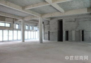 中天國際金融園松山湖寮步鎮獨棟研發廠房出售，工業用地，可環評，近地鐵站