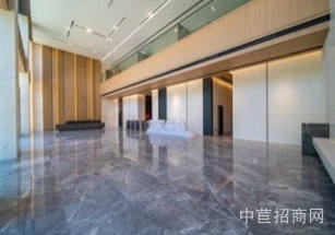 中天國際金融園松山湖大平層廠房出售，緊鄰地鐵1號線，珠三角環線，直通深圳