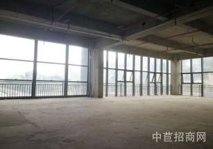 錦繡科學園觀瀾可環評小廠房出租，近地鐵4號線，上下班方便，紅本物業