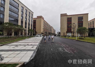 新建無稅收要求廠房形象佳