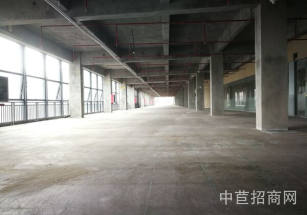 錦繡科學園觀瀾園區廠房出租，丙類消防，超高得房率，近地鐵4號線