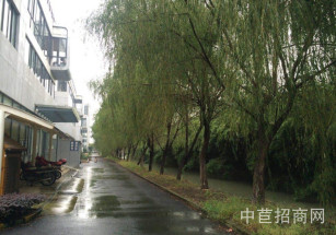 松江小獨(dú)棟廠房出售松江小昆山獨(dú)棟廠房出售生產(chǎn)電商倉(cāng)儲(chǔ)