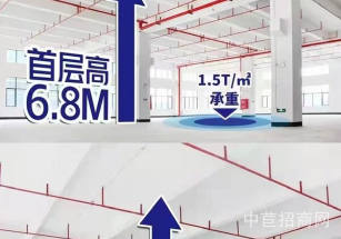 張槎東成立億產業園張槎新建高標準廠房出售，全玻璃幕墻，丙類消防，近高速口