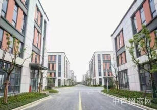 深馬華東工業科技園南京旁，獨棟單層廠房出售，可環評按揭貸款，50年獨立產權