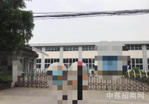 松江九亭661#廠房北九亭占地20畝空地7畝獨門獨院單層廠房售價僅5000萬