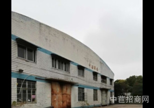 羅店鎮664#廠房*