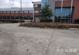 菲立蒙機電松江新橋獨門獨院廠房出售外資企業形象急售