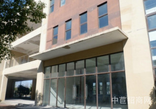 聯東U谷金山楓涇獨棟廠房出售104地塊上生產研發辦公