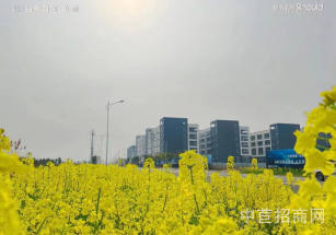 如皋廠房出售適合電子科技2噸貨梯 享受稅收補(bǔ)貼政策班車、超市面積大可分割有稅收要求