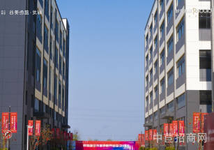 如皋廠房出售適合信息科技 生產(chǎn)倉(cāng)儲(chǔ)均可 空地大便利店面積可分割人才吸引政策