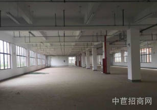 海安首層層高5-9米獨院獨棟廠房出售一層可生產(chǎn)研發(fā) 租金低