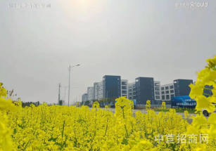 如皋廠房出售適合電子科技租金低 公攤少 空地大班車、超市面積可分園區有政策紅利 人才補貼