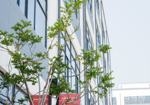 如皋廠房出售適合標準機械廠房生產倉儲均可 空地大班車、超市大小面積可分割享受稅收補貼政策