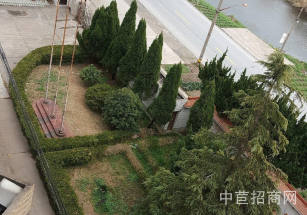 如東廠房出售適合生產物流倉儲優質房源出租 園區有政策紅利 人才補貼便利店根據需要分割園區有政策紅利 人才補貼