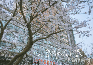 崇川首層層高6米標(biāo)準(zhǔn)廠房廠房出售大平層 面積可分 價(jià)格優(yōu)惠 稀缺廠房