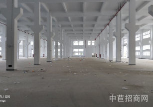 南湖廠房出售工業用地獨院獨棟知名物業適合電子科技
