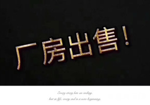 桐鄉廠房出售工業用地名開發商適合醫療器械