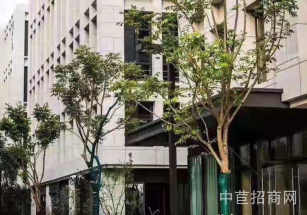 浙江嘉興嘉善廠房出售環境優美!磚混結構原房東適合標準機械廠房