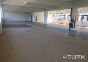 協助辦環評桐鄉廠房出售工業用地獨院廠房知名物業適合適合各類無污染企業
