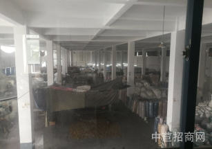 海寧廠房出售協助辦環評工業用地知名物業適合醫療器械