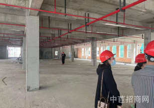 平湖廠房出售協助辦環評工業用地園區形象好適合無污染行業